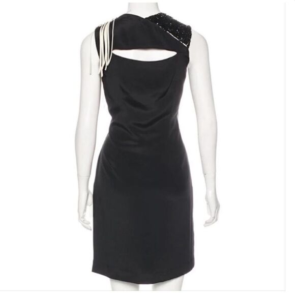 NWT Sachin + Babi Ansaka Silk Dress Sz. 6 - Picture 3 of 9